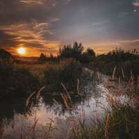 Lesen LED Bilder Bewertungen